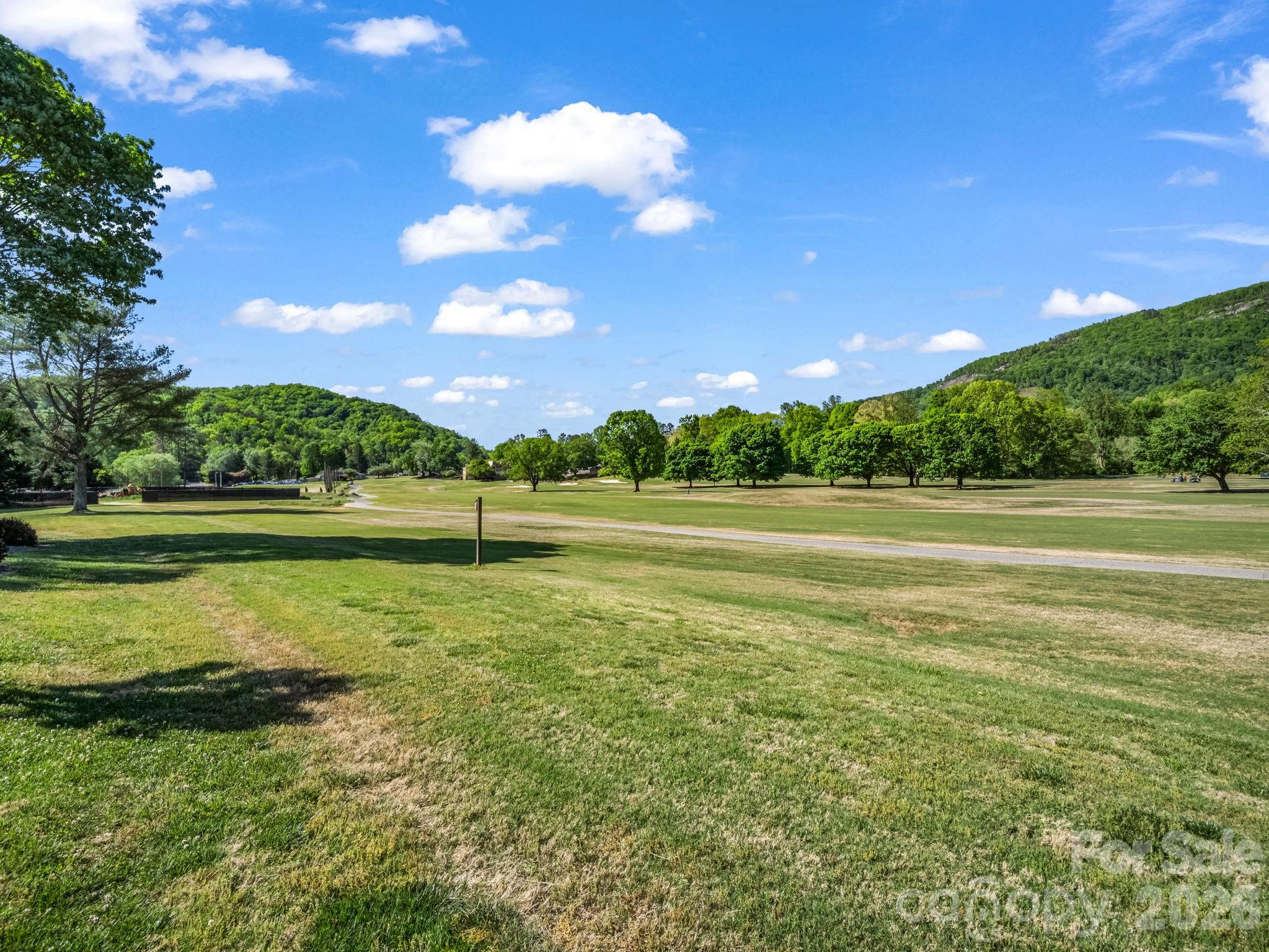 182 W Lake Drive S Lake Lure NC 28746