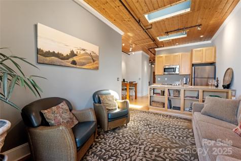 35 Patton Avenue Asheville NC 28801