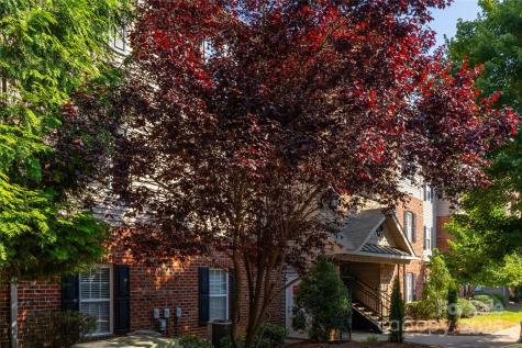 332 Appeldoorn Circle Asheville NC 28803