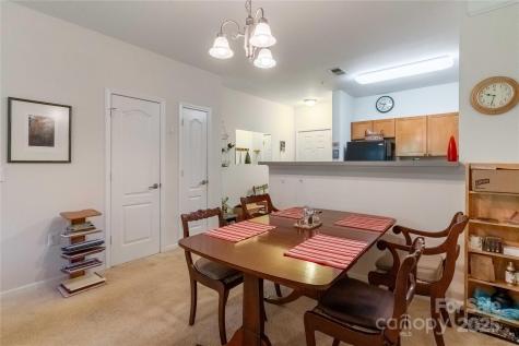 332 Appeldoorn Circle Asheville NC 28803