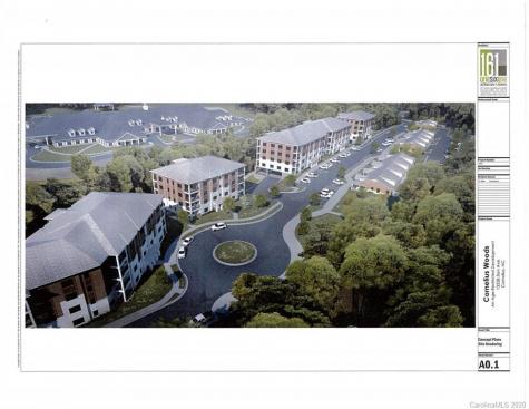 21024 Cornelia Grove Way Cornelius NC 28031