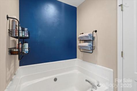 18812 Ramsey Cove Drive Cornelius NC 28031