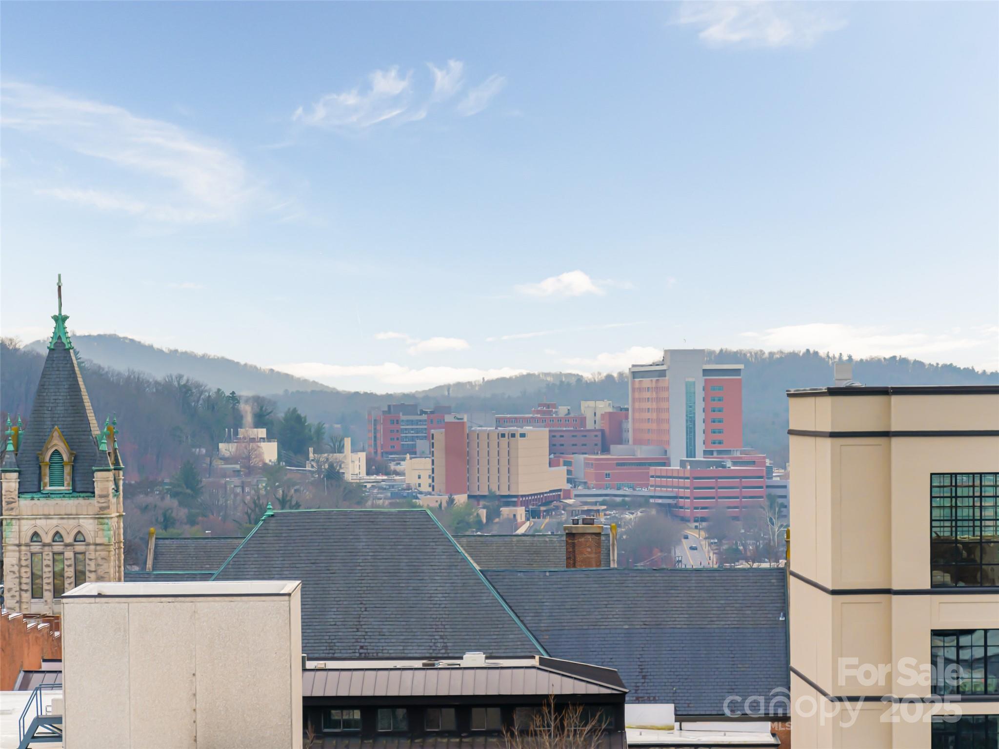 84 W Walnut Street Asheville NC 28801