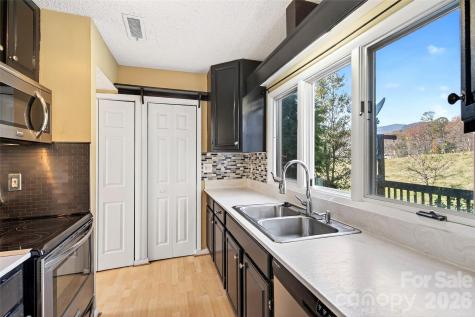 3B Lynx Drive Black Mountain NC 28711