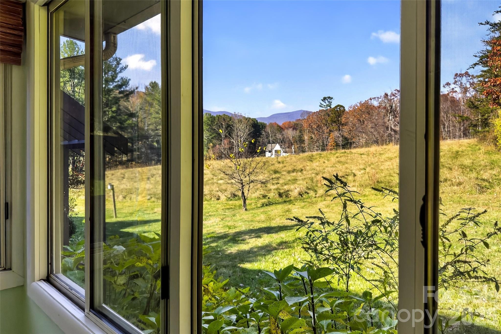 3B Lynx Drive Black Mountain NC 28711