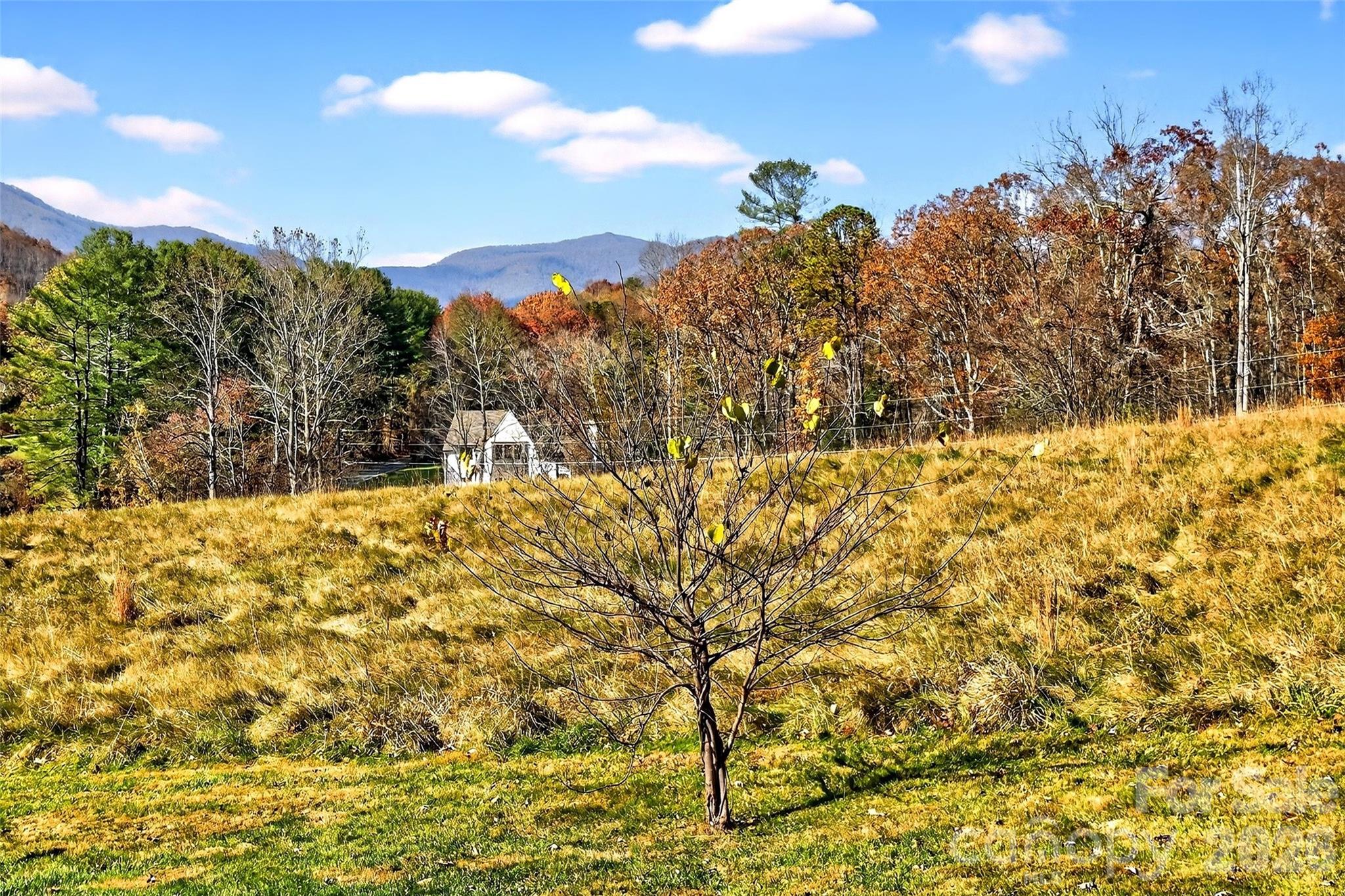 3B Lynx Drive Black Mountain NC 28711