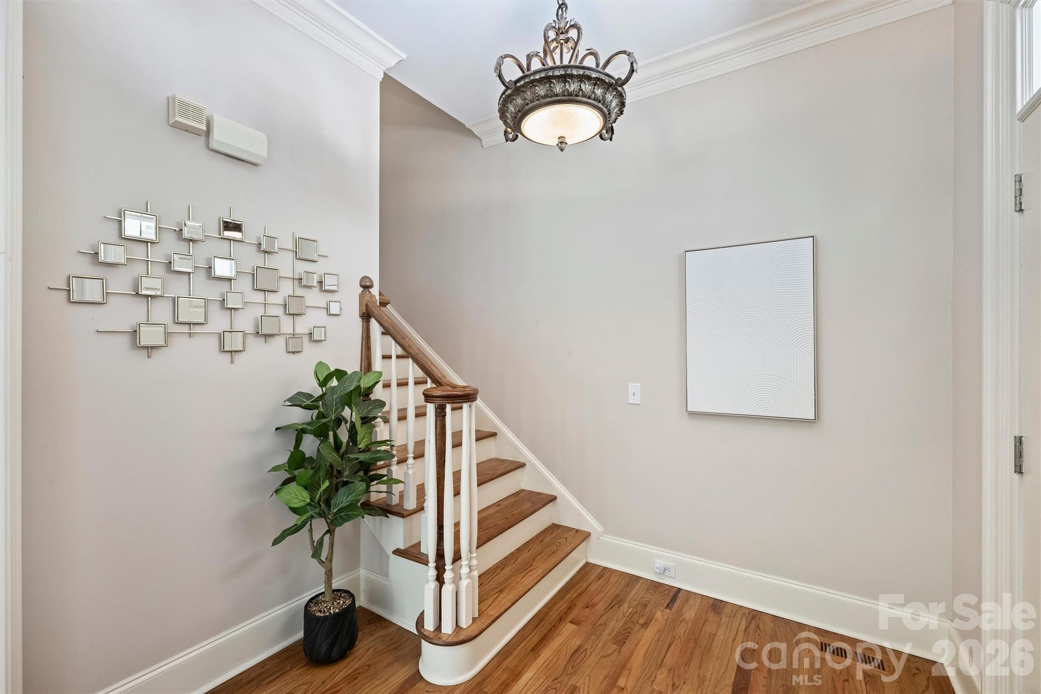 1115 S Kings Drive Charlotte NC 28207