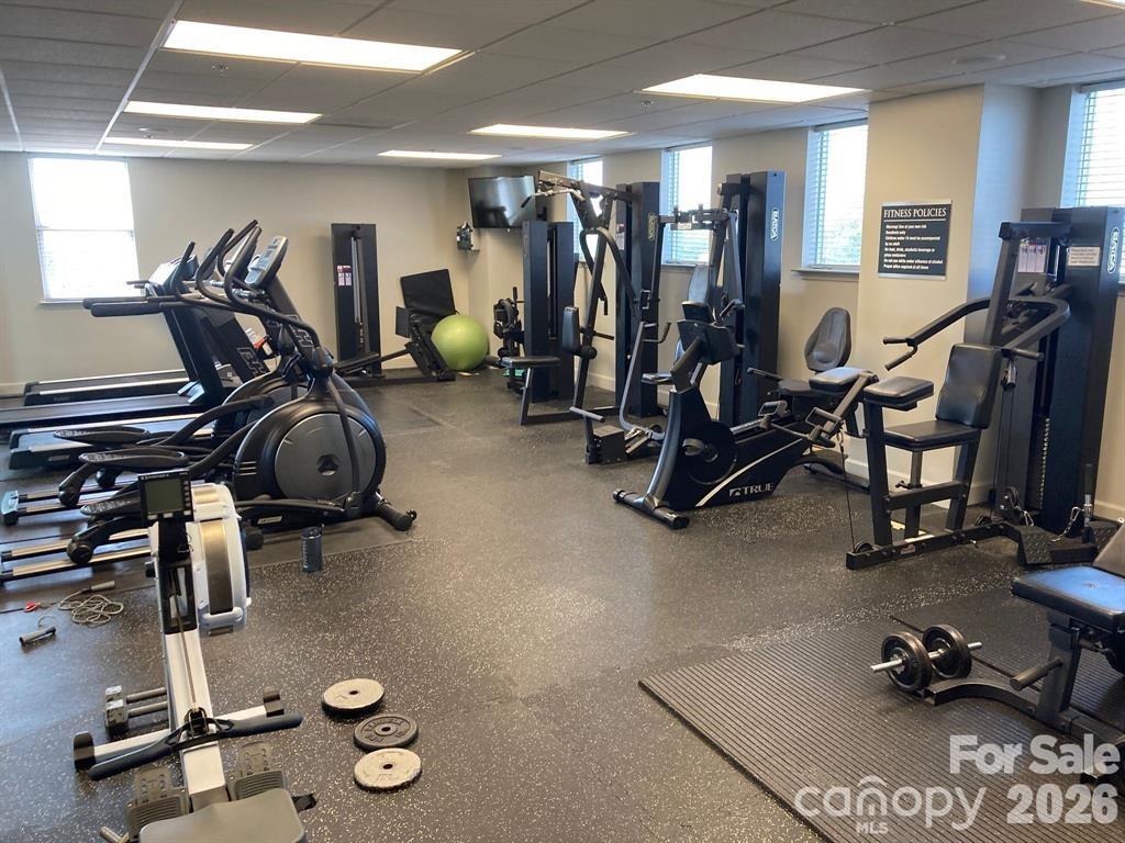 1315 East Boulevard Charlotte NC 28203