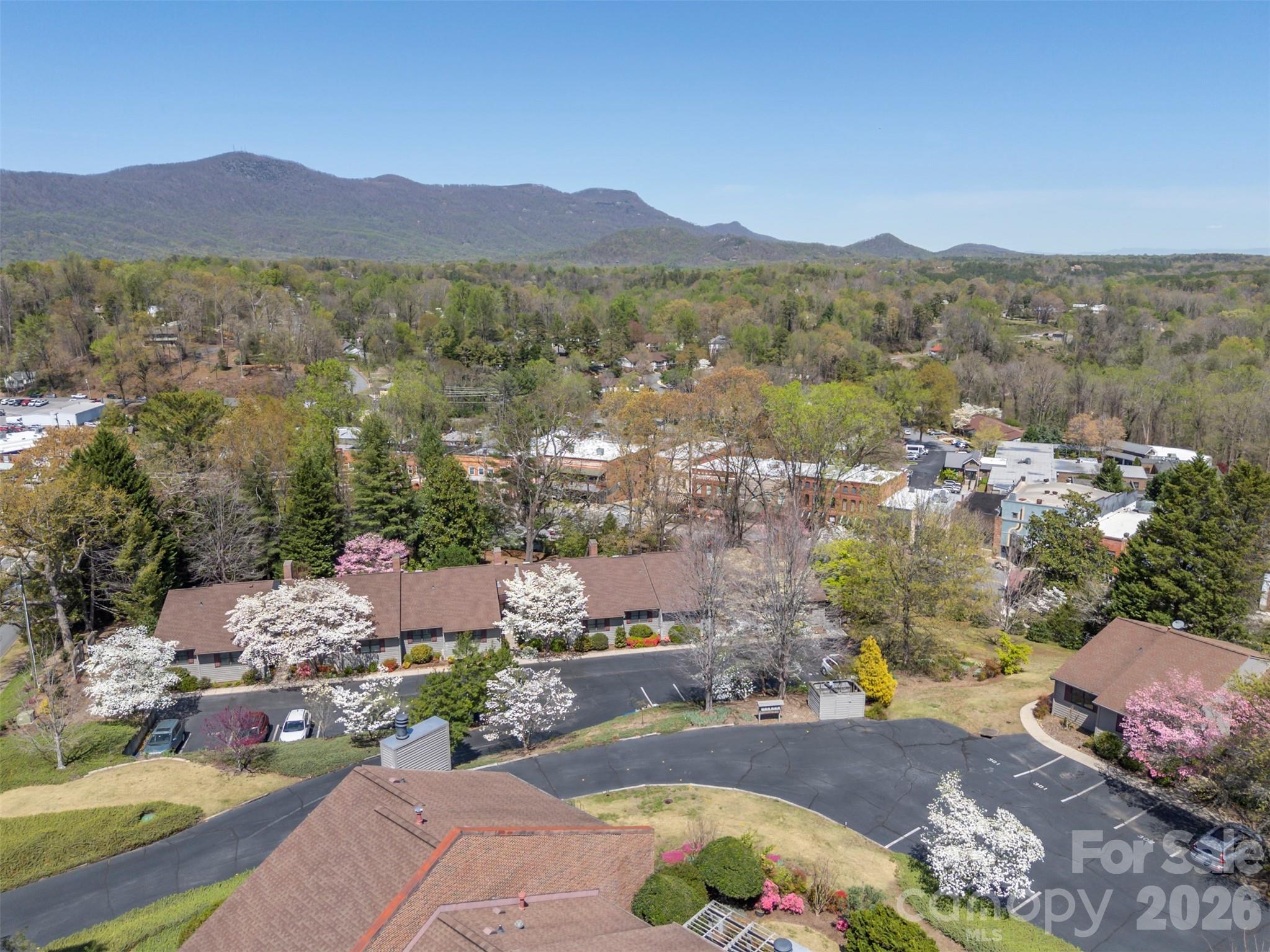 77 Chestnut Street Tryon NC 28782