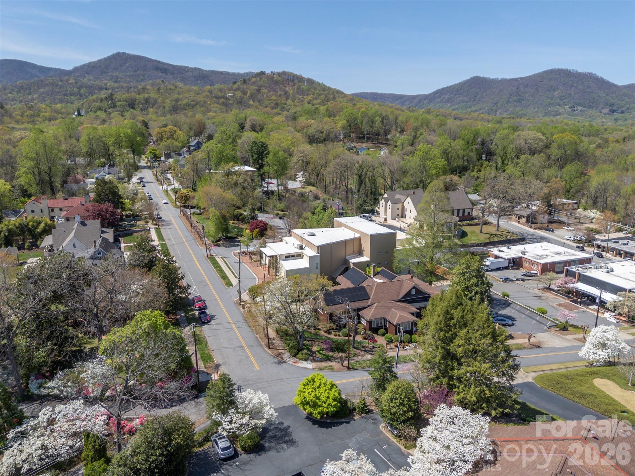 77 Chestnut Street Tryon NC 28782