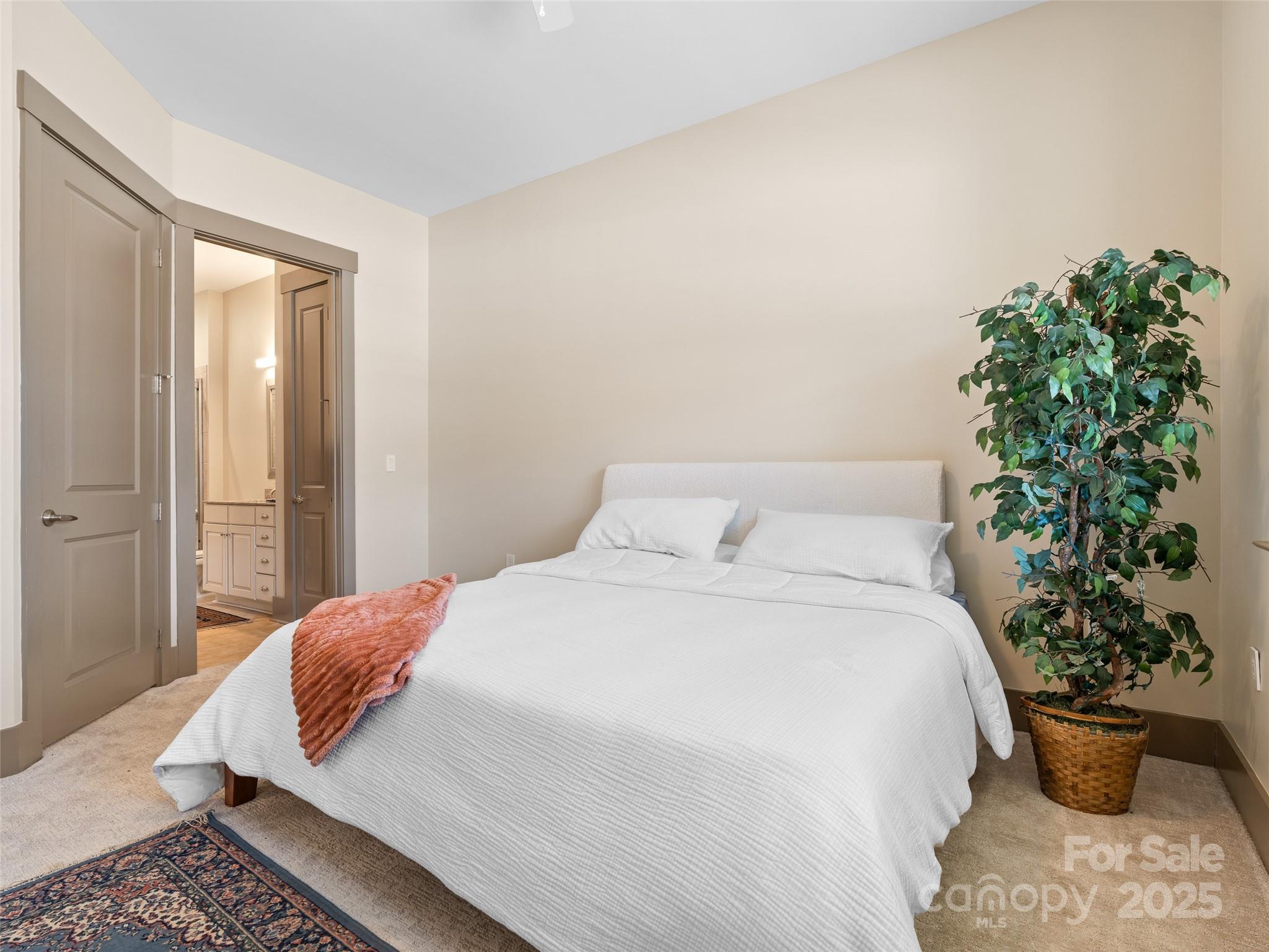 42 Schenck Parkway Asheville NC 28803