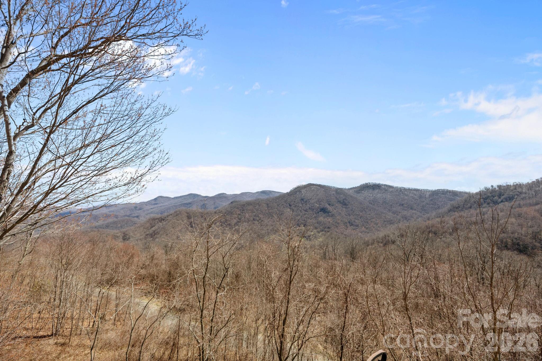 5 Lila Lane Clyde NC 28721