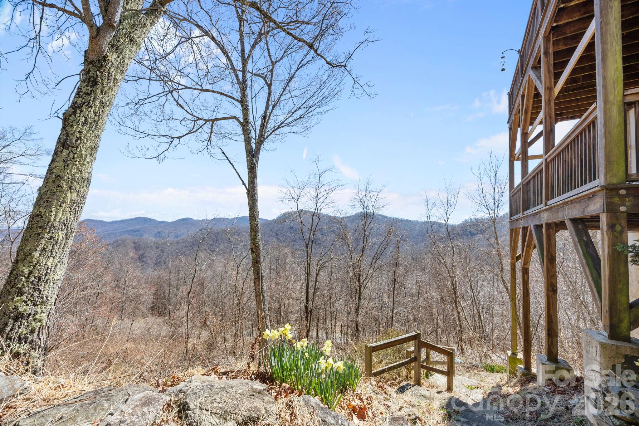 5 Lila Lane Clyde NC 28721