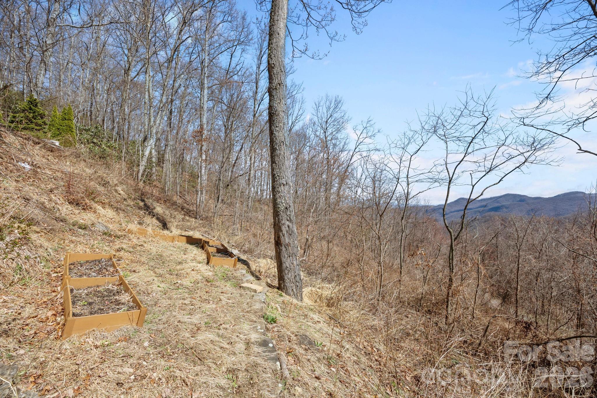 5 Lila Lane Clyde NC 28721