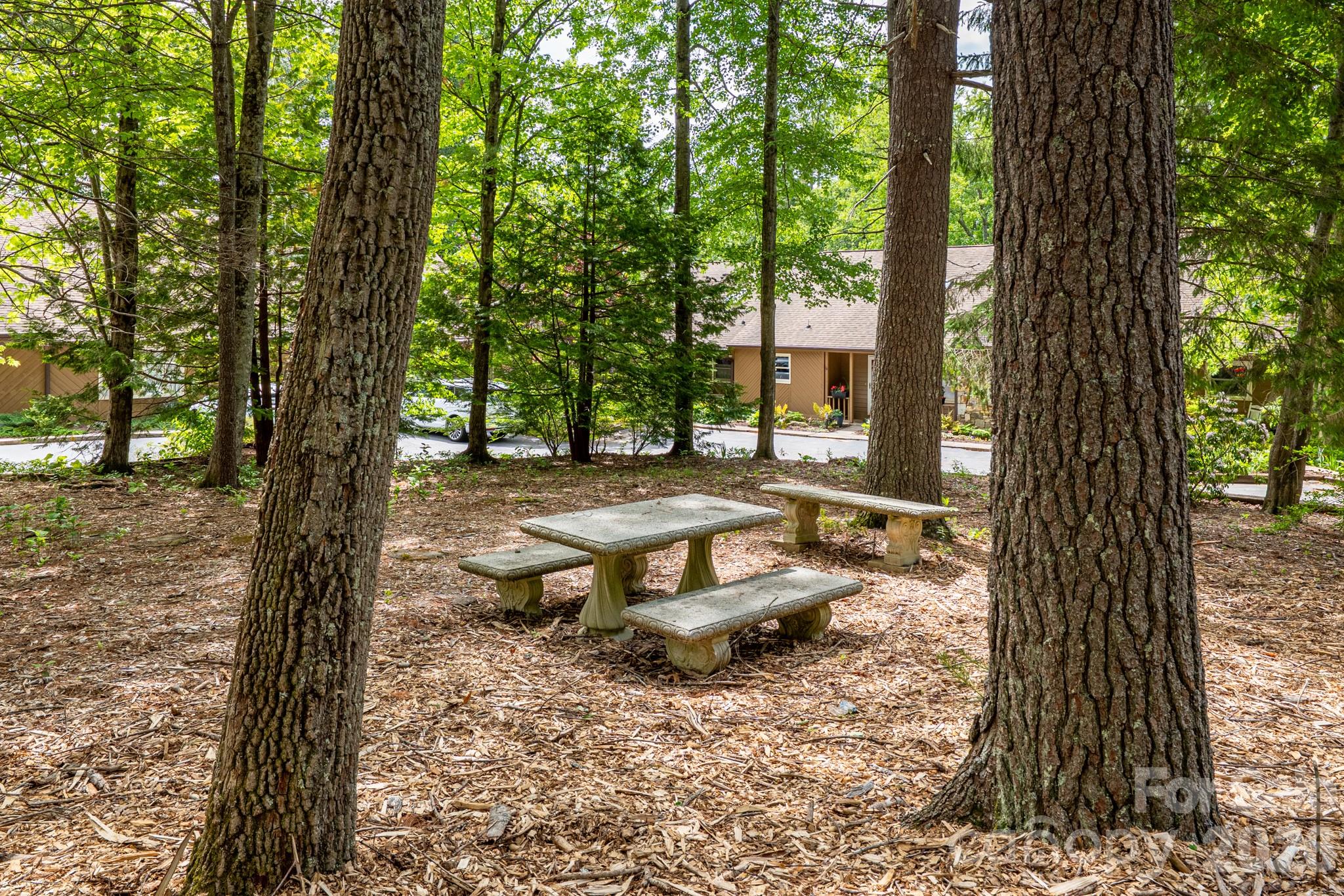 12 Pencross Circle Etowah NC 28729