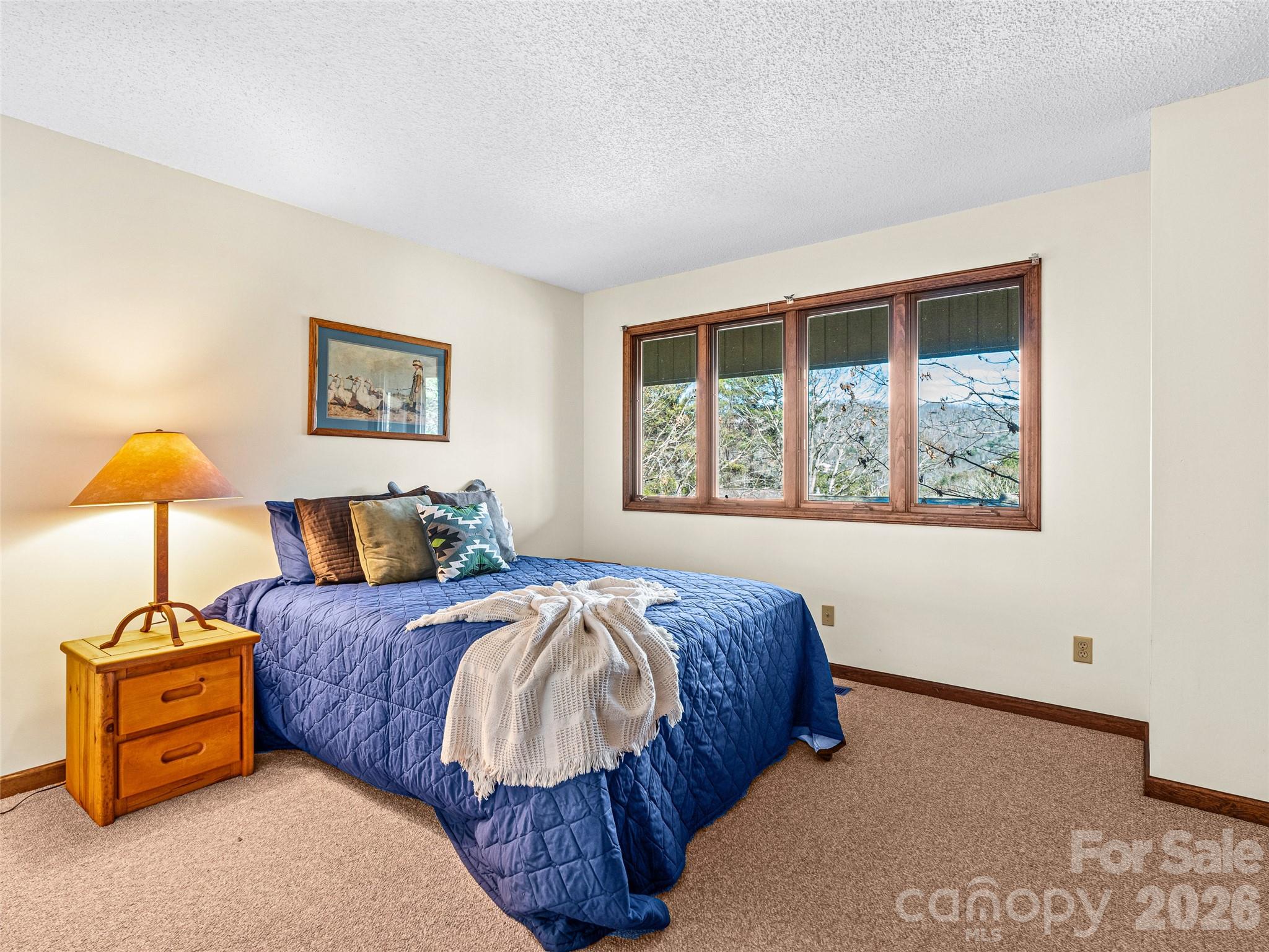 3802 Timber Trail Asheville NC 28804