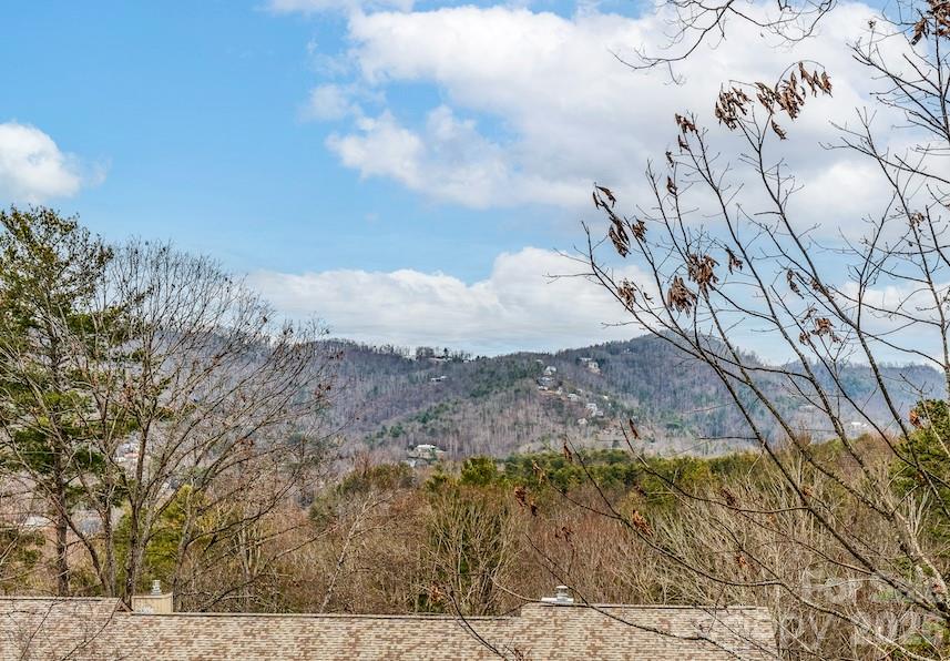 3802 Timber Trail Asheville NC 28804