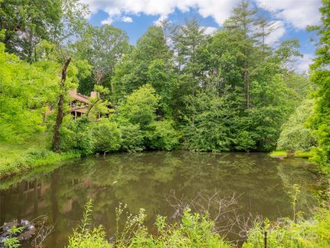 502 Spanish Oak Lane Hendersonville NC 28791