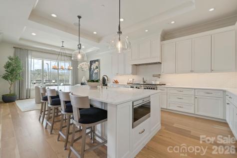 19329 Watermark Drive Cornelius NC 28031