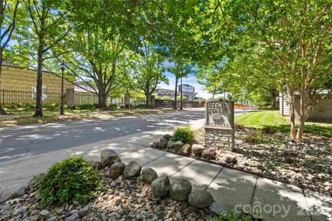 244 S Cedar Street Charlotte NC 28202