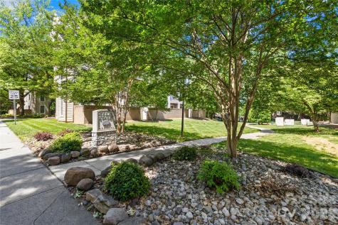 244 S Cedar Street Charlotte NC 28202