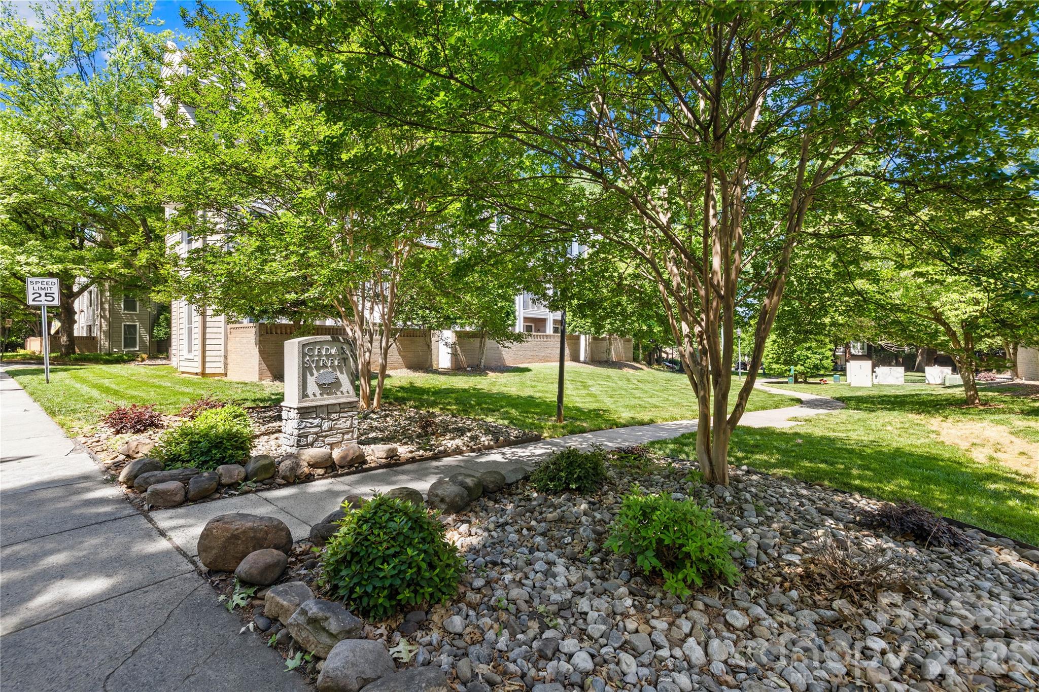 244 S Cedar Street Charlotte NC 28202