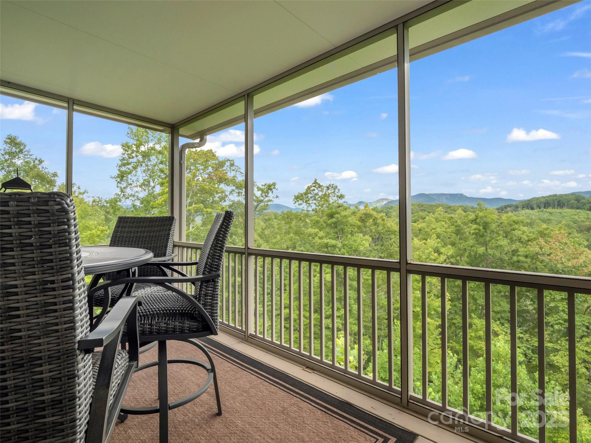148 Red Hawk Knoll Lake Lure NC 28746