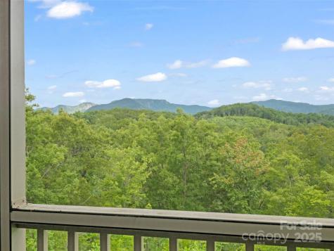 148 Red Hawk Knoll Lake Lure NC 28746