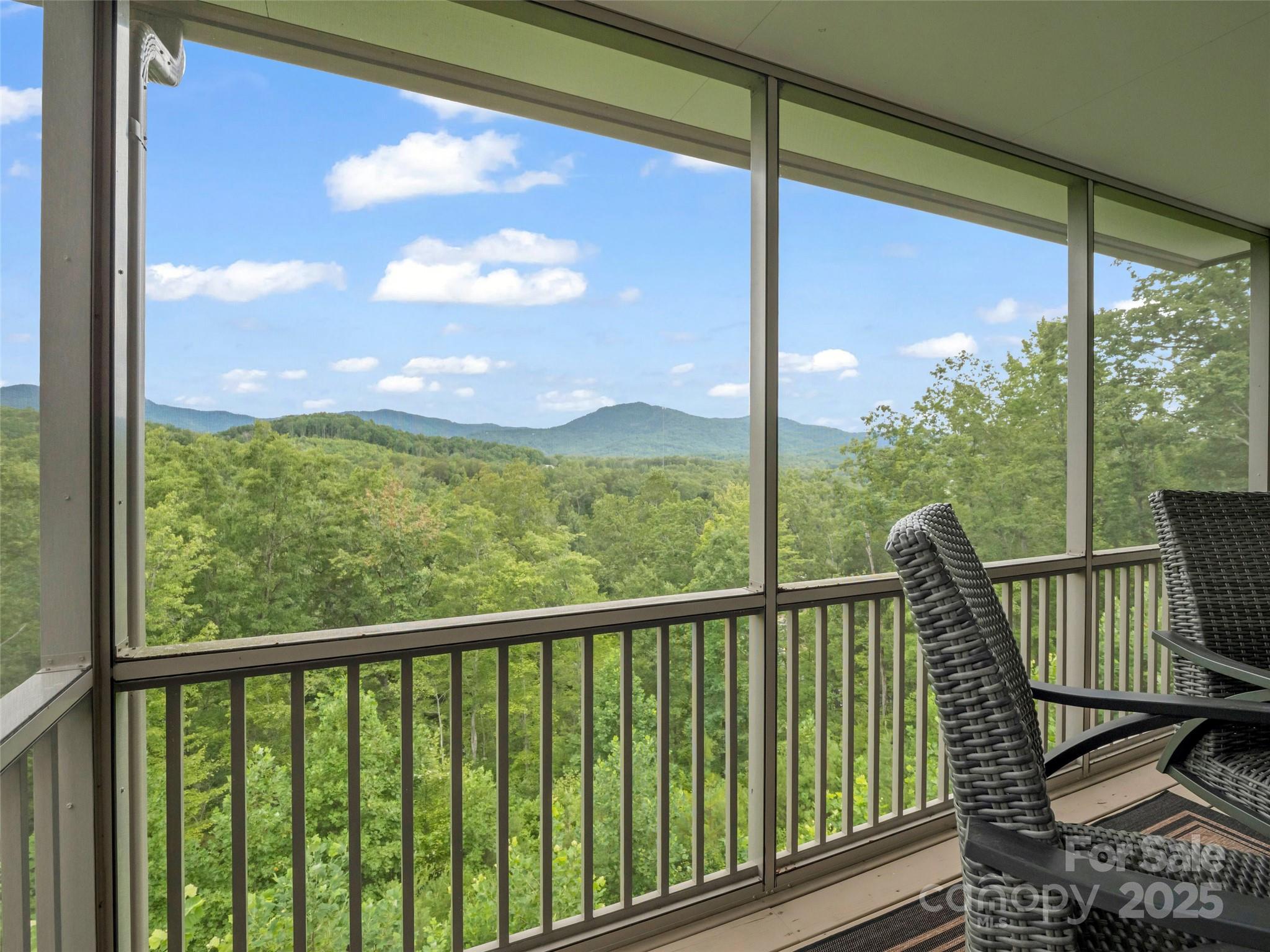 148 Red Hawk Knoll Lake Lure NC 28746