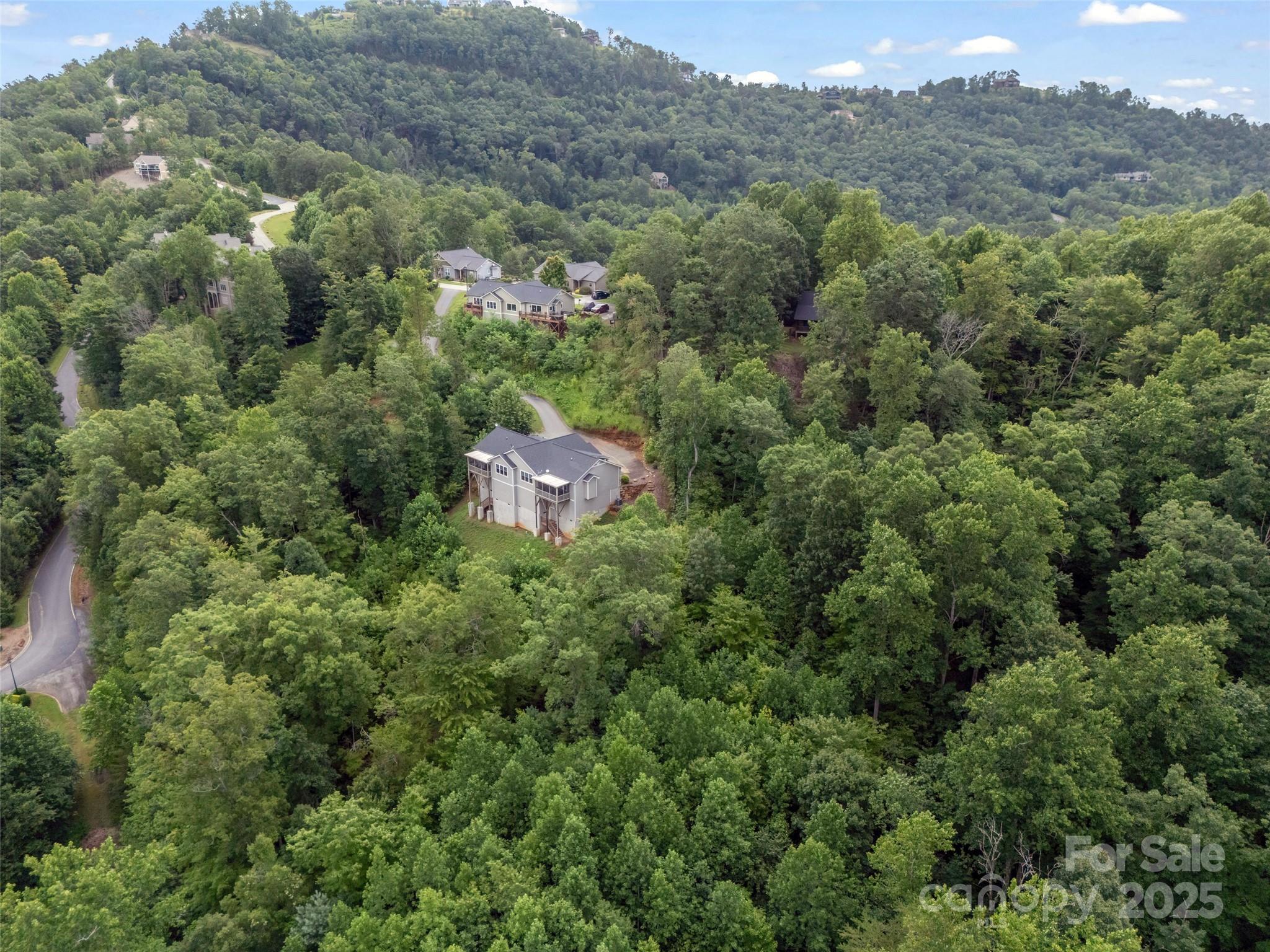 148 Red Hawk Knoll Lake Lure NC 28746