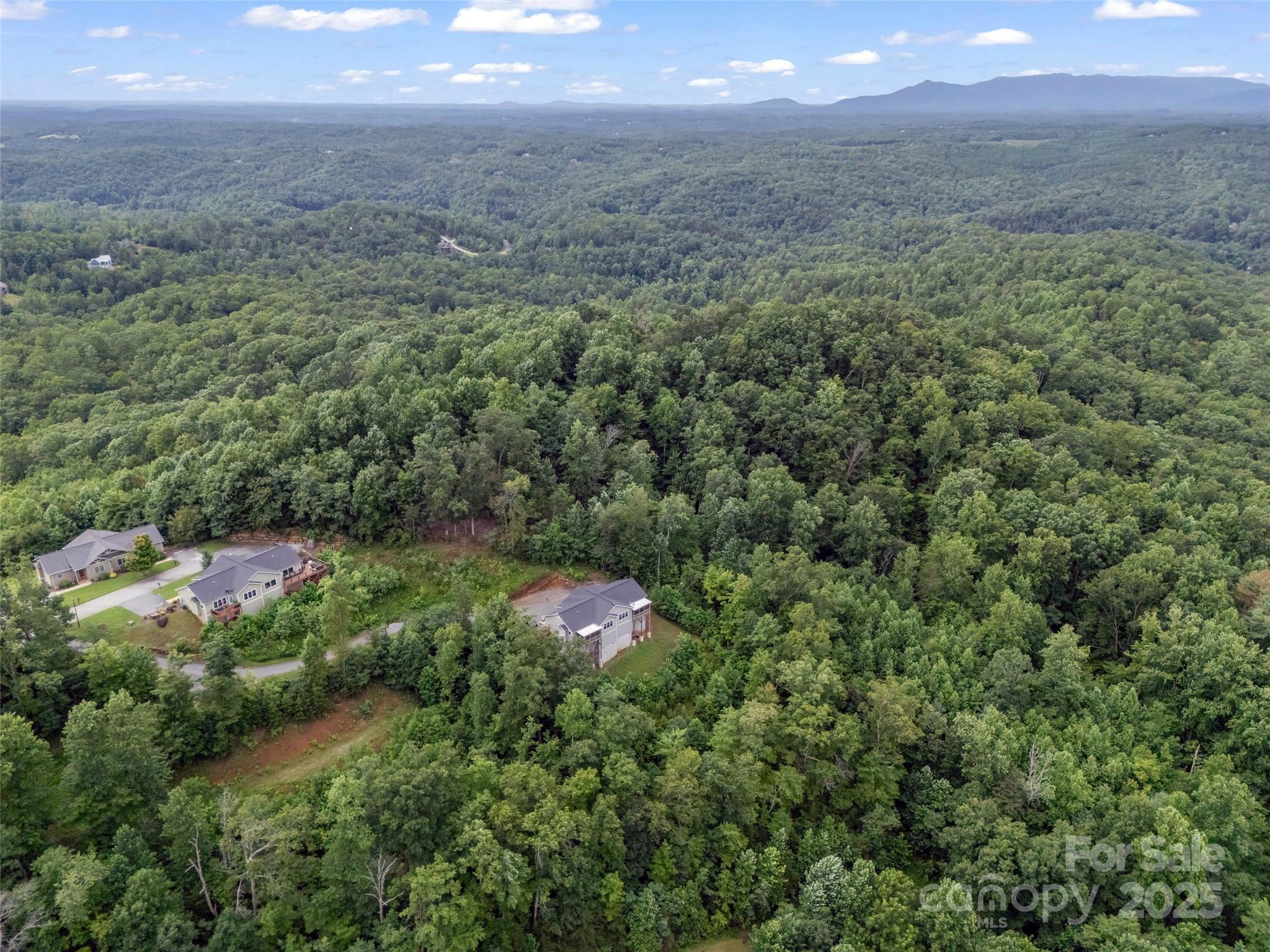 148 Red Hawk Knoll Lake Lure NC 28746
