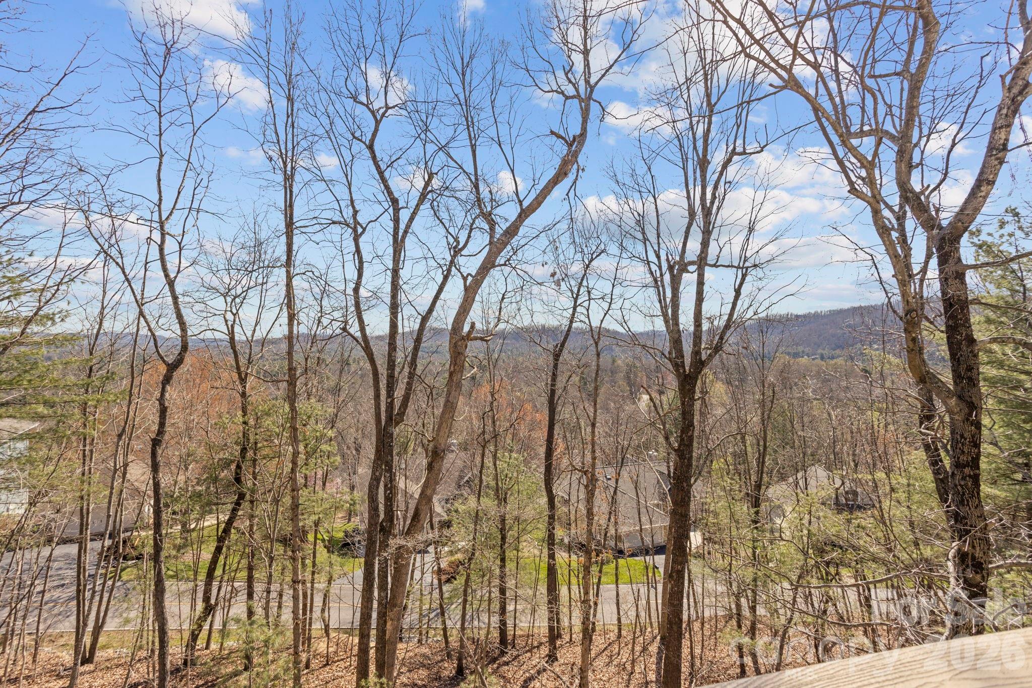 210 Claymoor Court Flat Rock NC 28731