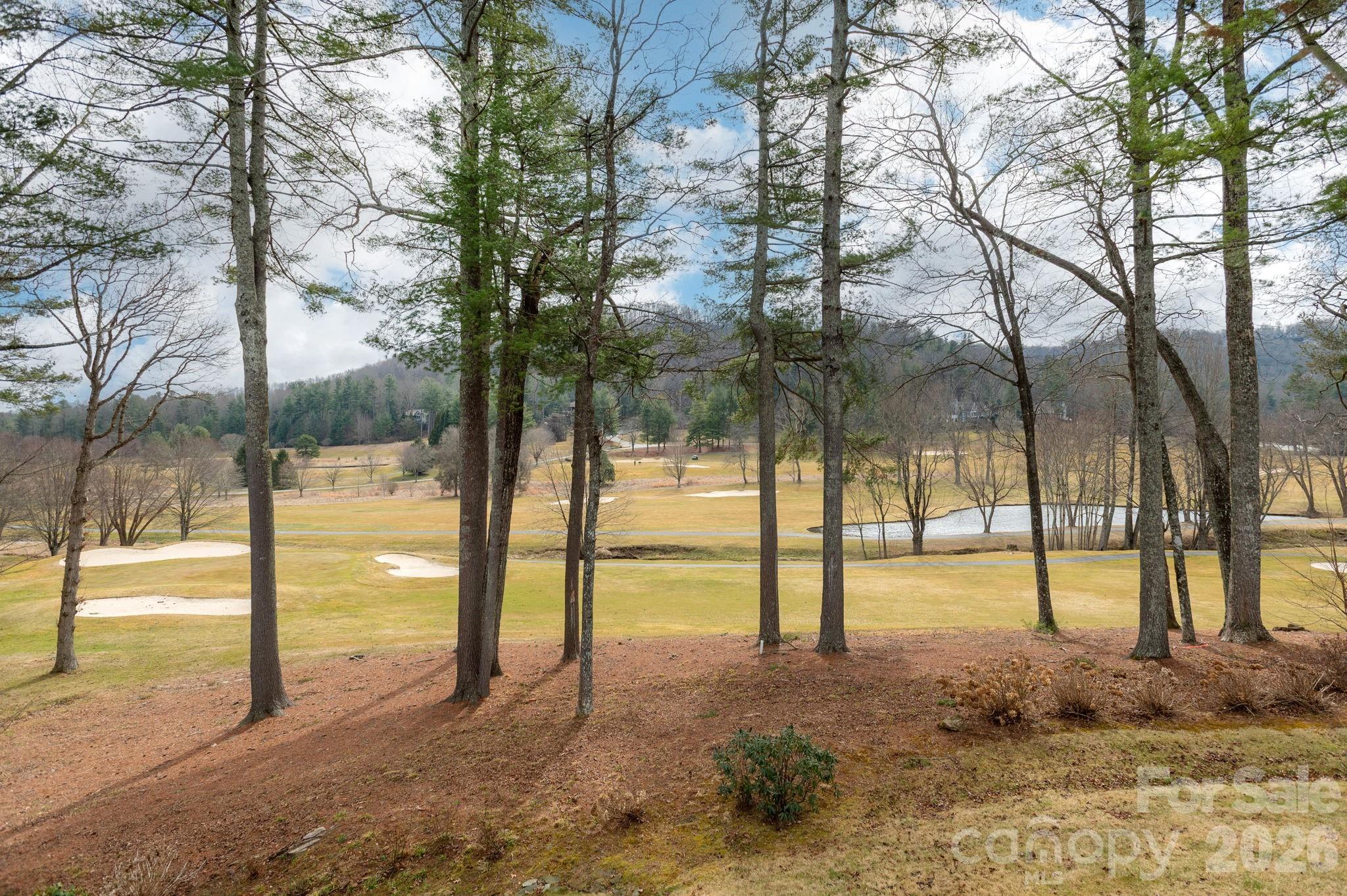 155 Winding Meadows Drive Flat Rock NC 28731