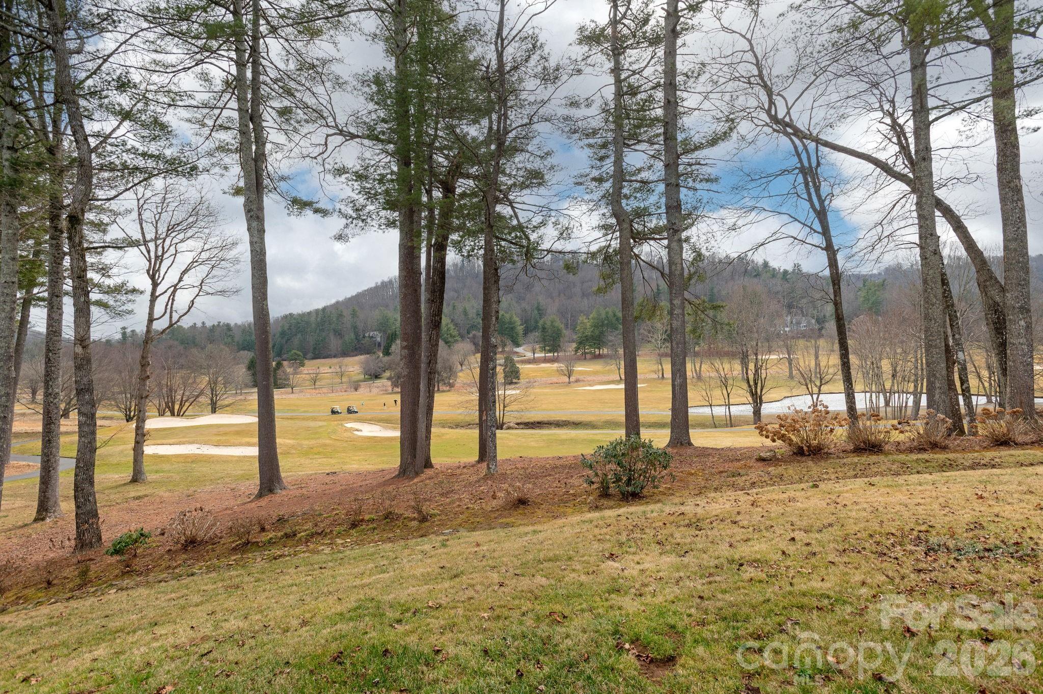 155 Winding Meadows Drive Flat Rock NC 28731