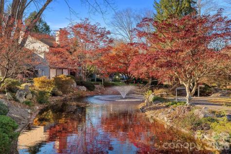 16 Lakemoor Lane Hendersonville NC 28739