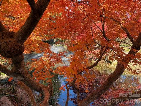 16 Lakemoor Lane Hendersonville NC 28739