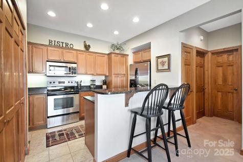 228 Pleasant View Boulevard Sugar Mountain NC 28604