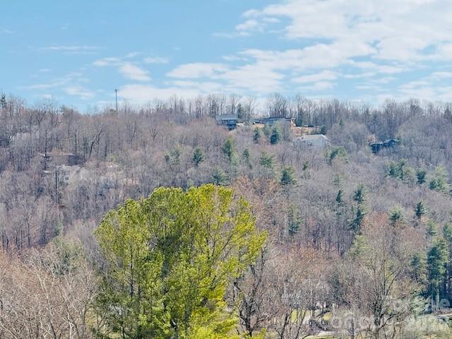 121 Burning Tree Lane Flat Rock NC 28731