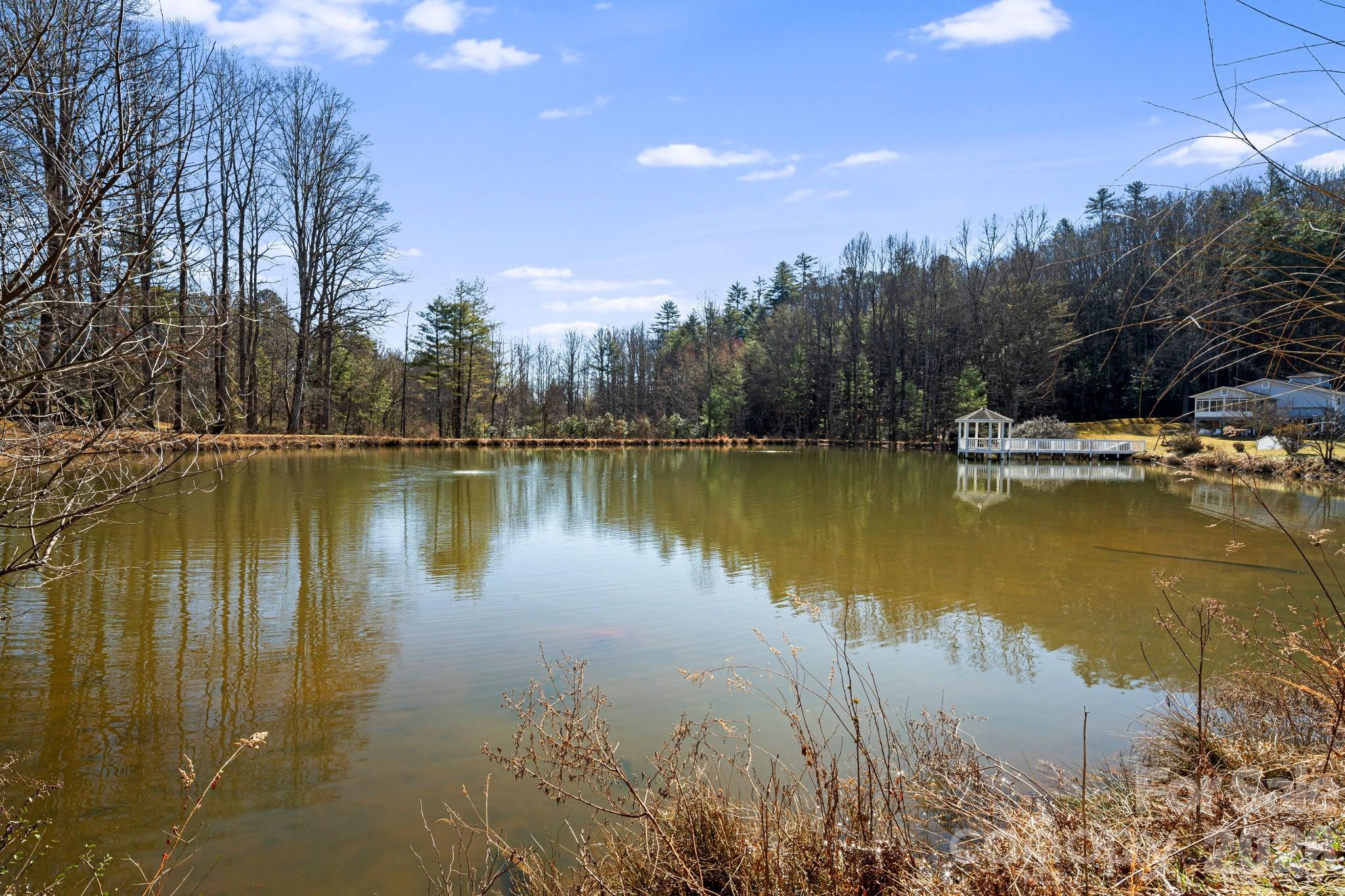 84 Lakeview Court Brevard NC 28712