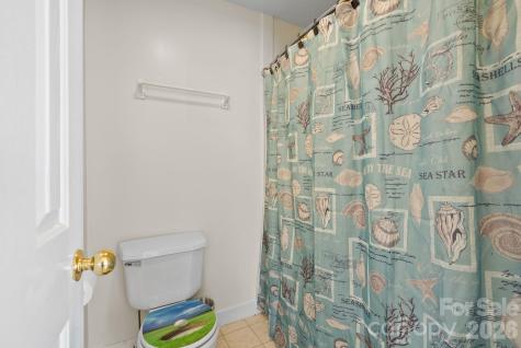 299 Blue Ridge Drive S Marion NC 28752