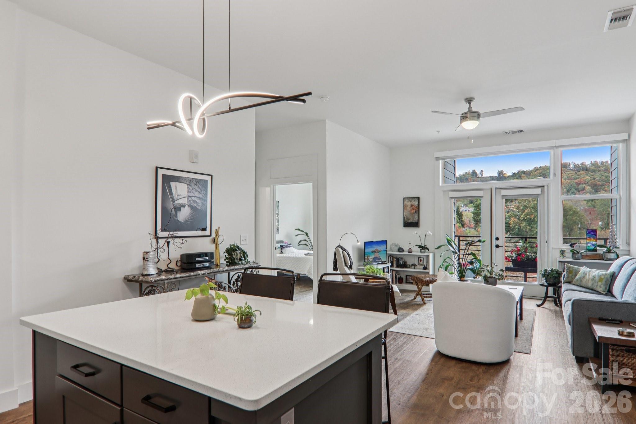 Asheville NC, 55 S Market Street, Unit 407