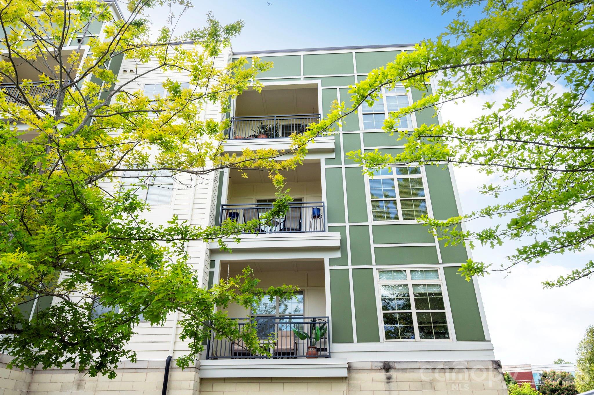 42 Schenck Parkway Asheville NC 28803