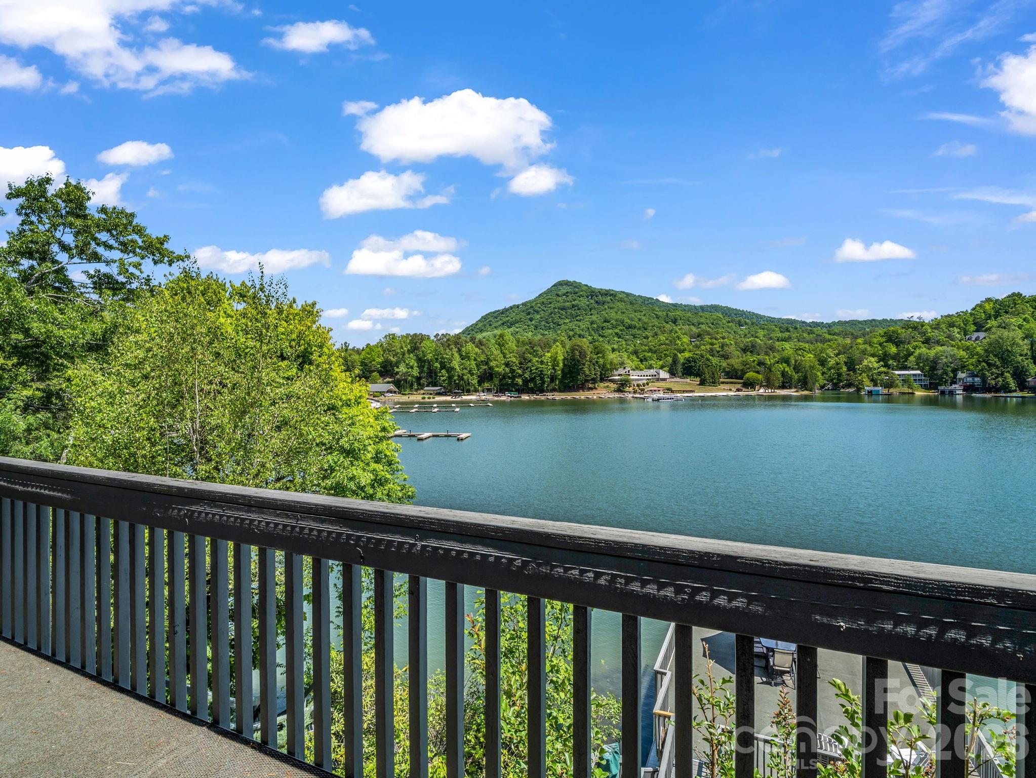 176 Quail Cove Road Lake Lure NC 28746