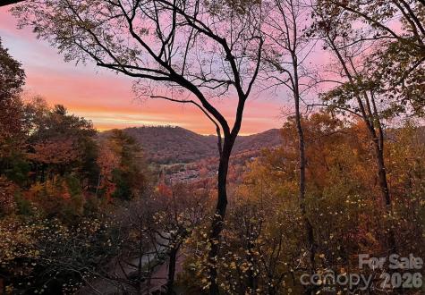 3302 Timber Trail Asheville NC 28804