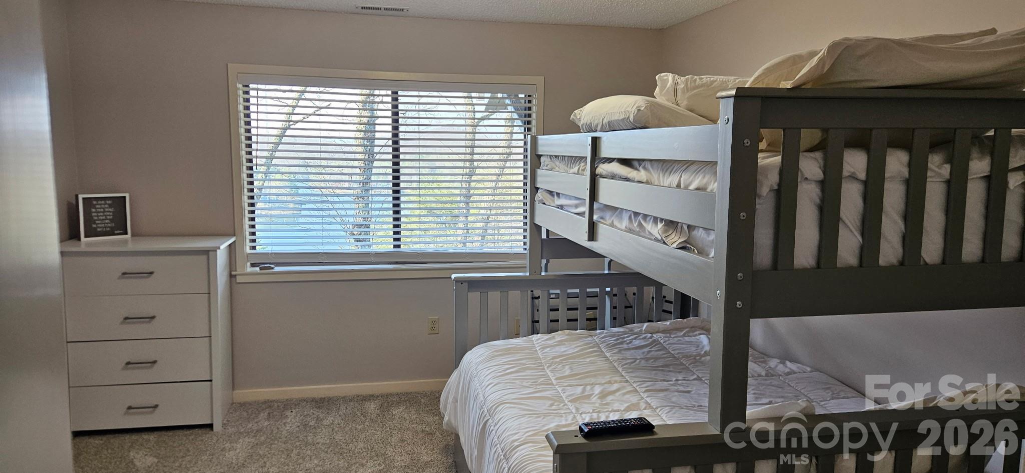 283 Tinequa Drive Brevard NC 28712