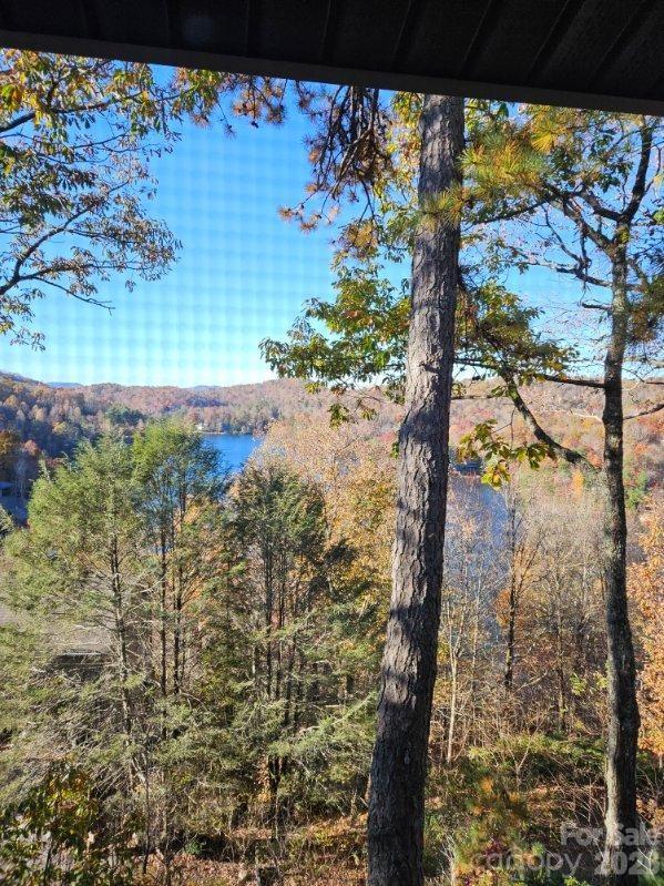 283 Tinequa Drive Brevard NC 28712