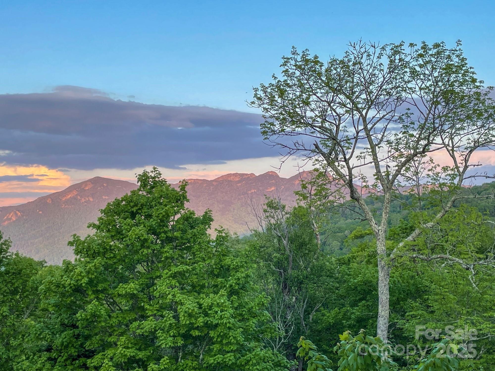 120 Pleasant View Boulevard Sugar Mountain NC 28604