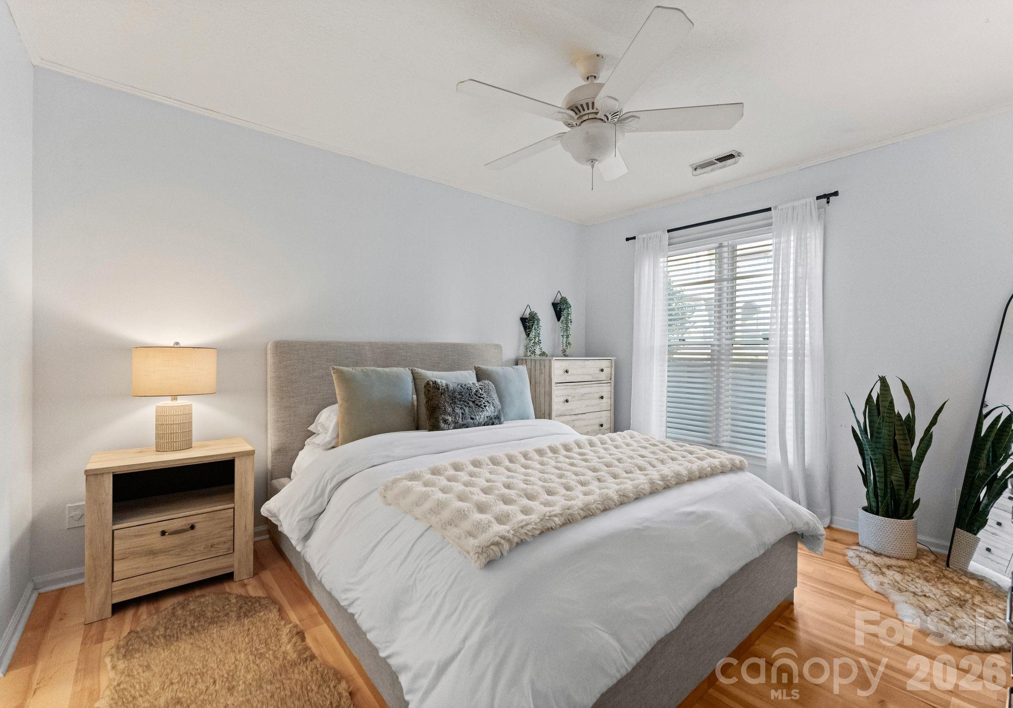 1109 E Morehead Street Charlotte NC 28204