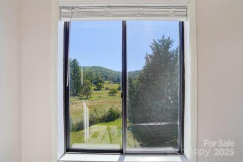 157 Glen Cannon Point Pisgah Forest NC 28768