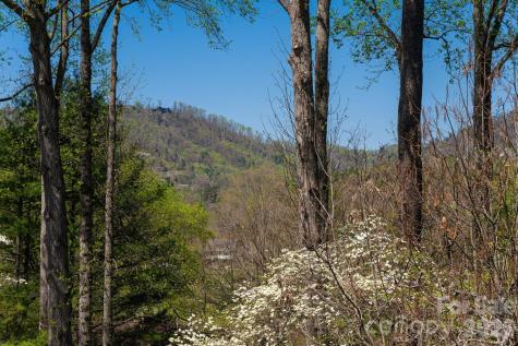 1002 Timber Lane Asheville NC 28804